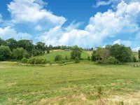 Scenic Villa in Borgloon With Garden - Villas