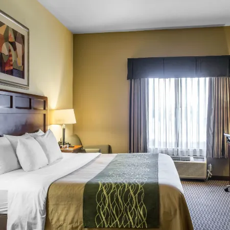 Comfort Inn and Suites