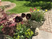 West Lodge Hotel Hotels in Aylesbury Vale District