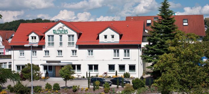 Hotel Waldhorn Hotels in Friedrichshafen