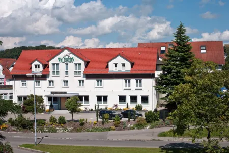 Hotel Waldhorn Отели в г. Фридрихсхафен