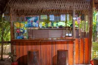 Tronco Tambopata Adventure - Bar