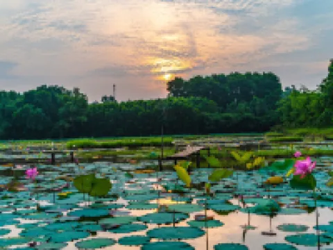 SON Home Garden Hue Hotels in Thuy Bieu