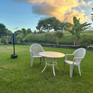 Puakenikeni Hilo Hale