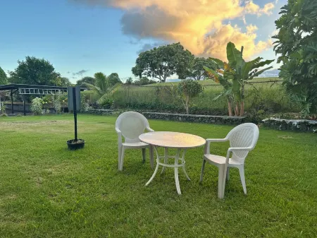 Puakenikeni Hilo Hale