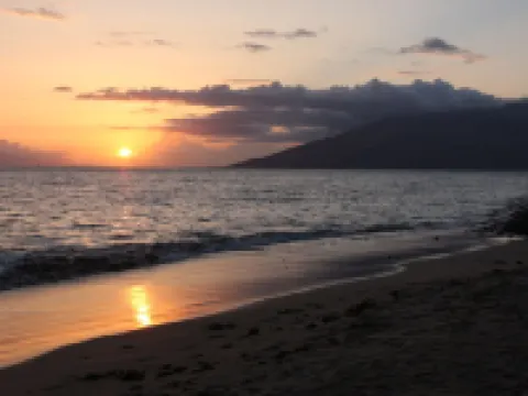 Private Saltwater Spa and Outdoor Oasis - Luxurious Tropical Haven