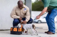 Days Inn & Suites by Wyndham Colorado City/I-20 Отели в г. Колорадо Сити