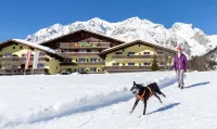 Almfrieden Hotel & Romantikchalet - Wifi