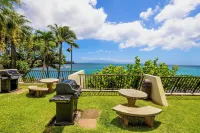 Napili Point C-12 - 2Br Condo Hotels in Ualapue