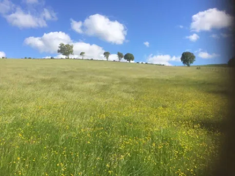 Converted Stone Barn -20 Acres - Farm Animals!