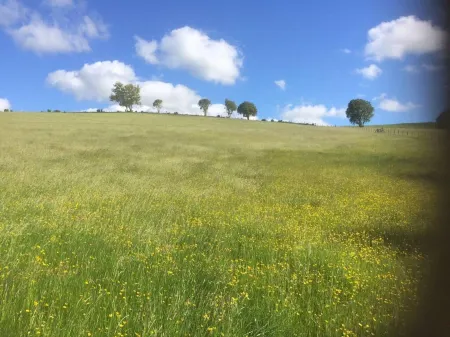 Y Twlc Mochyn - EcoFriendly - Farm Animals Отели в г. Клокаеног