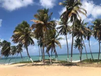 Joais do Nordeste Hotel di Touros