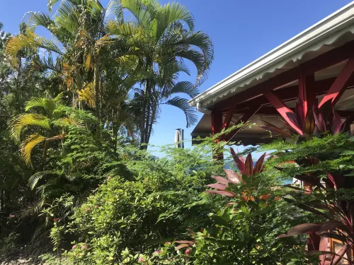 Le Rayon Vert - Hôtel & Restaurant Vue Sur Mer Hotels in Deshaies