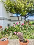 Casa Das Jardas - Villa