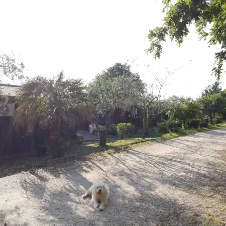 Agriturismo Cisogna
