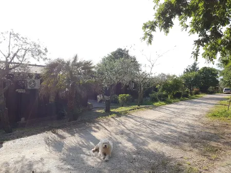 Agriturismo Cisogna Отели в г. Ананьи