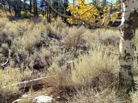 The Woodfords Inn Hotels in Alpine County