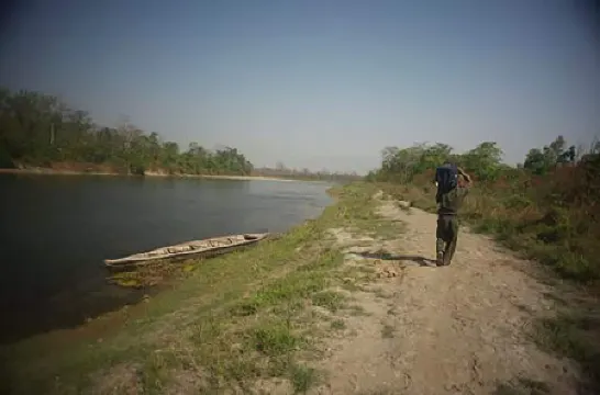 島嶼叢林度假村