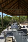 The Wild Olive Tree Camp