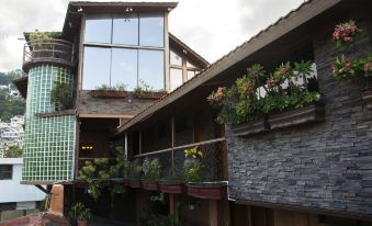 B & B Comfy Inn