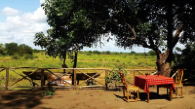 Selous Adili Forest Camp Hotels in 