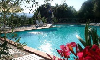 Agriturismo Antico Borgo Poggitazzi