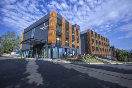 Park Hotel Tsinandali Estate Отели в г. Кизискхеви