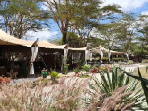 スワラ アカシア ロッジ アティ・リバーのホテル