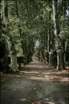 Château de Saint-Girons - Luxury Guest House in Provence