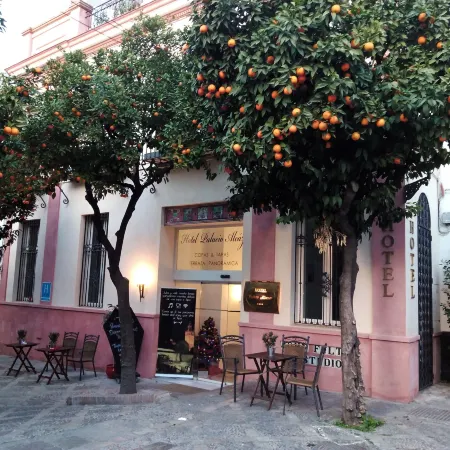 Hotel Palacio Alcázar