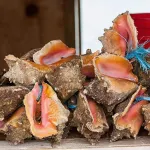 세인트 프랜시스 리조트