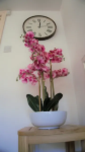 The Coach House Hotels in Cranbrook