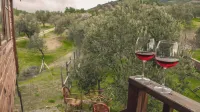 Oli Kazdağları - Mountain view