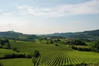 Tenuta Castagnera