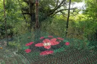 Casas Clusia Monteverde - 2-Star