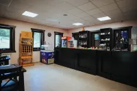 Baile Puturoasa Hotel di Baia Mare