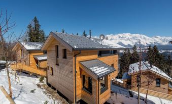 Alpenchalets Reiteralm by Alps Resorts