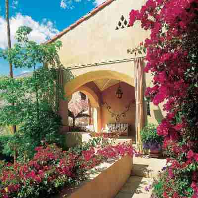 The Willows Palm Springs Hotel Exterior