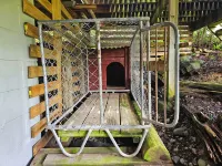 Acheron House: Cosy chalet, breathtaking views, pets welcome!