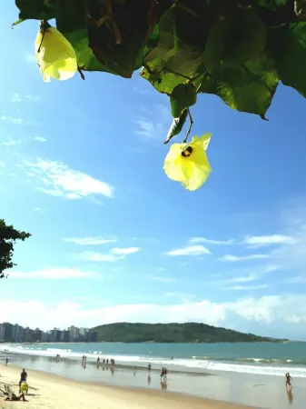 Arm in arm in the heart of Morro Beach Отели рядом с достопримечательностью «Praia das Castanheiras»