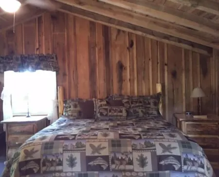 Waterloo Cabin on Wide Water, Boat Dock, Beach, & Awesome Views!