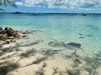 This is a great vacation home with oceans views Hotel di George Town