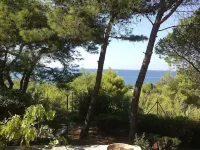 Self-contained house, nestled in a pine forest, just a few meters from a beautiful bay.