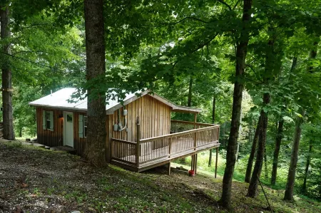 Retreat to Your Private Haven in the Trees