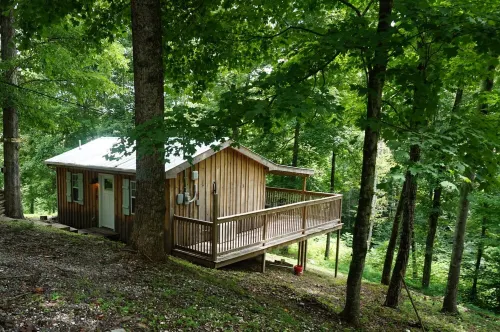 Retreat to Your Private Haven in the Trees