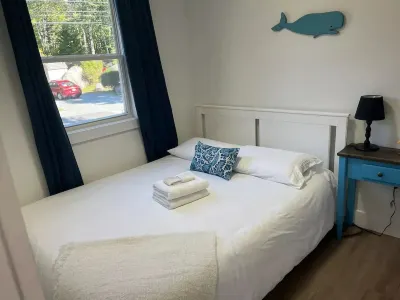 Spectacular Oceanfront 2 Bdrm Unit in Summerville Hotels in 