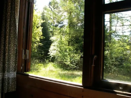 Log cabin on a 2000 m² nature estate, only5 km to the sea