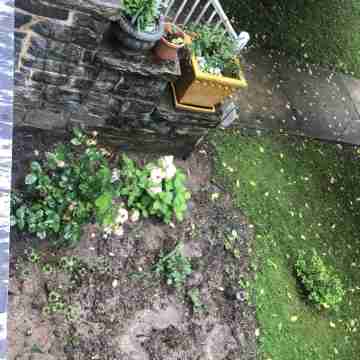 Spacious Roland Park Apt near Hopkins Hotel Exterior