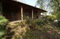 Beautiful 4ac setting on Historic Allendale, bordered by Mississippi River Levee