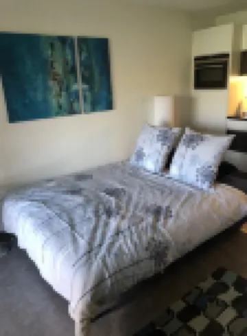 Vacation apartment on Lake Thun - magnificent views of the lake and mountains